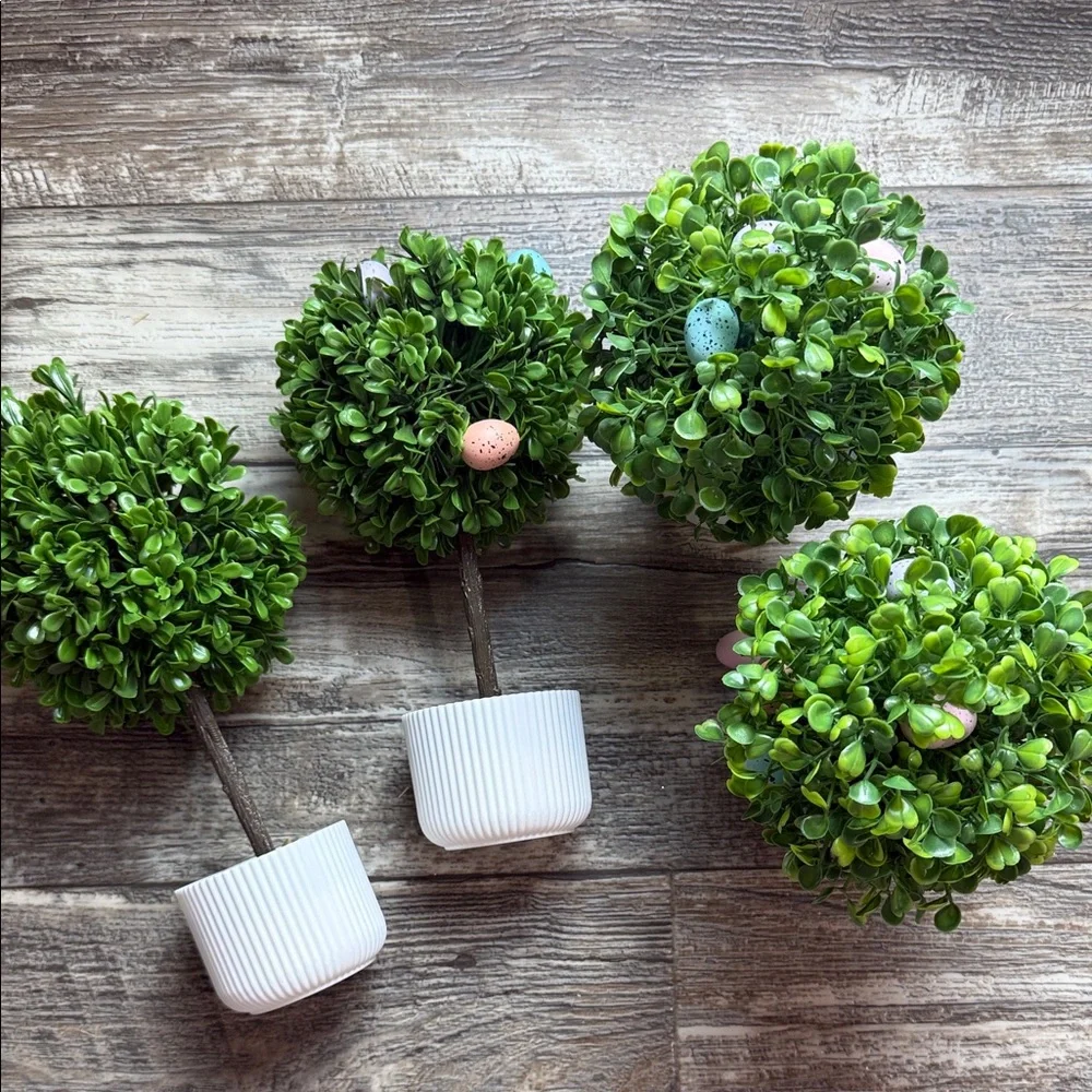Green Topiary Plants trees Bundle 4 in White Eggs